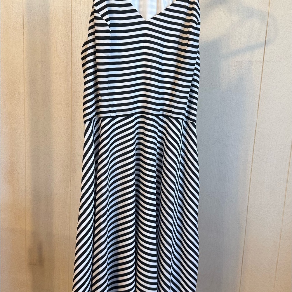 Express Black and White Striped Dress with V-Neckline